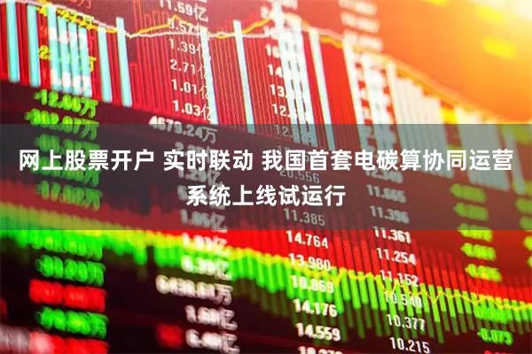 网上股票开户 实时联动 我国首套电碳算协同运营系统上线试运行